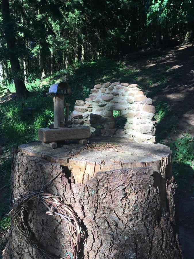 Отель Waldnest Odenwald Экстерьер фото