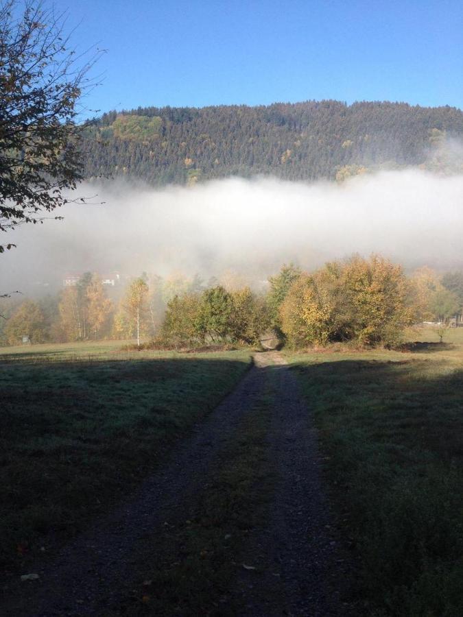 Отель Waldnest Odenwald Экстерьер фото