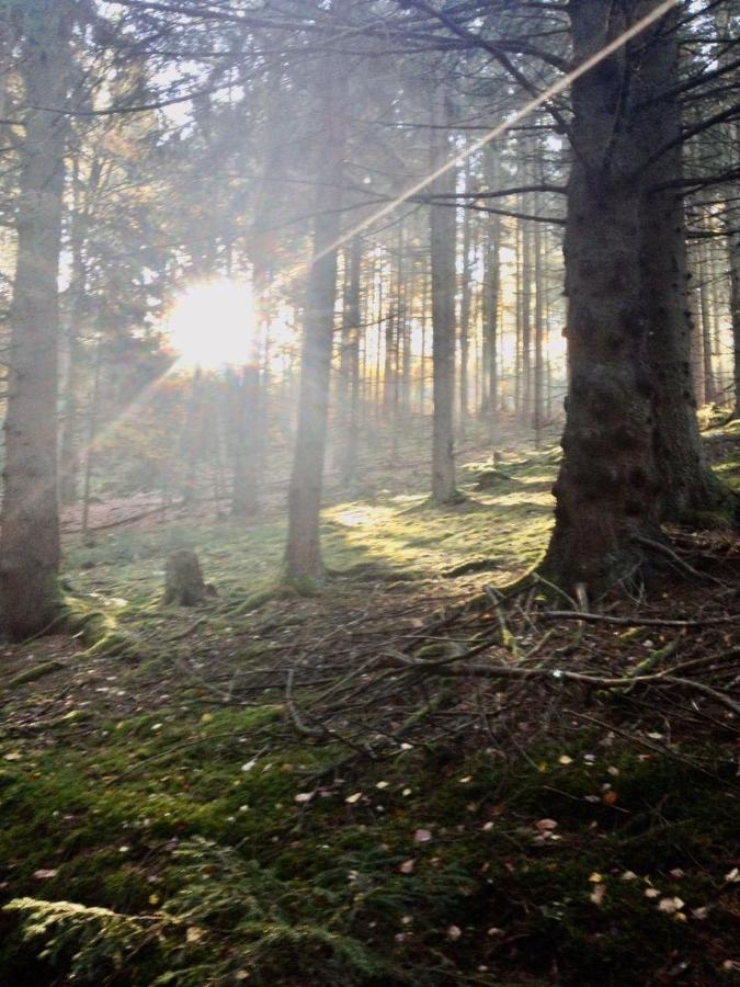 Отель Waldnest Odenwald Экстерьер фото