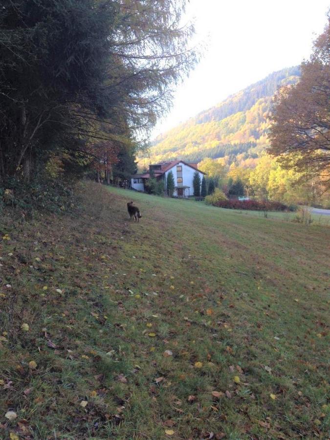Отель Waldnest Odenwald Экстерьер фото