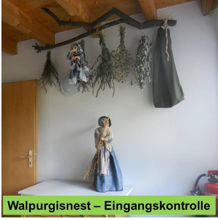 Отель Waldnest Odenwald Экстерьер фото